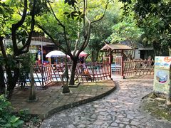 -孔雀园餐厅