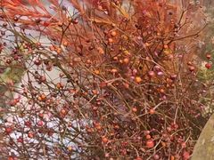 -三旗百汇商品城