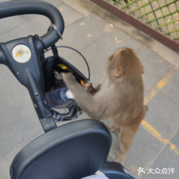 猴岛，万宁市陵水黎族自治县