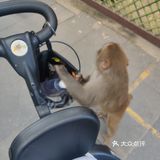 猴岛，万宁市陵水黎族自治县