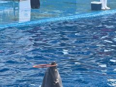 -石林冰雪海洋世界