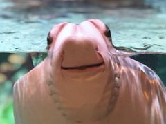 -沈阳海洋探索中心