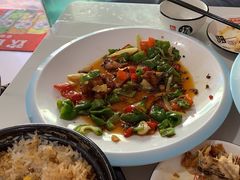 -煲来饱去冷水鱼