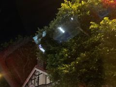 -太平山餐厅(山顶道店)