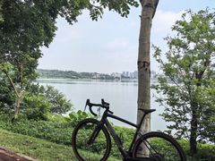 -东莞植物园
