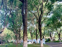 -昆山城市生态森林公园