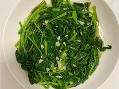 -天鹅到家·保姆月嫂育儿嫂(朝阳店)