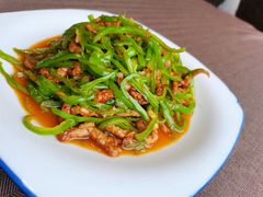 青椒肉丝-樽宴酒楼·地道川菜·品质宴请