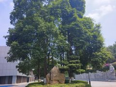 -龙头寺公园