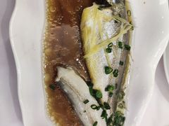 -骏莱海鲜鱼港(五角场店)