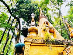 -莫里热带雨林景区