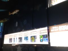-同济大学四平路校区深海探索馆