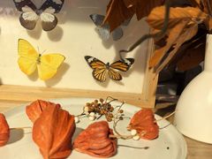 -自由生长植物工作室(深港花卉中心店)