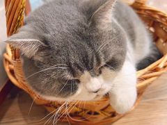 -解忧集市(北京路天河城店)