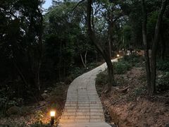 -岳麓山风景名胜区