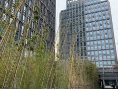 -陆家嘴世纪金融广场
