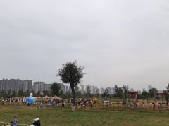 -汉长安城未央宫国家考古遗址公园