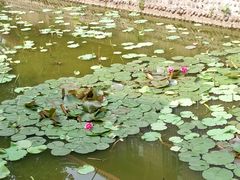 -四川大学(华西校区)