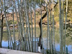 -善卷洞风景区