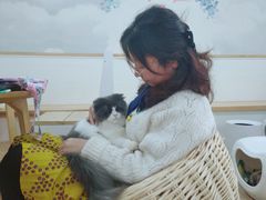 -李小姐の猫咖啡馆(五角场店)