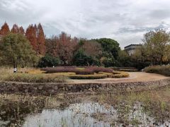 -蠡湖中央公园