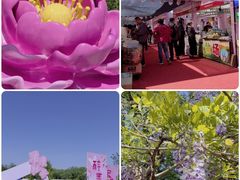 -太阳宫公园