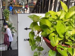 -Money Shops(愚园路店)