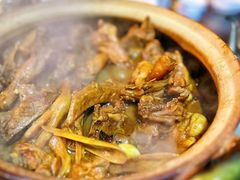 屯昌枫木香草鸭-盐禾堂海南屯昌香草鸭(总店)