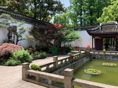 -上海醉白池公园