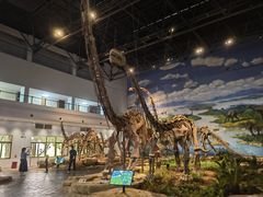 -自贡恐龙博物馆