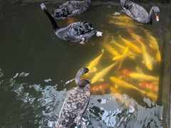 -湖鲜楼