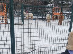 -沈阳奥体冰雪嘉年华