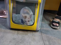 -严国平动物医院(德政总院)