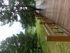 -红花尔基樟子松国家森林公园