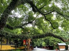 -桂林独秀峰王城景区