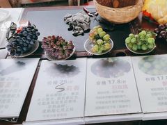 -马陆小张葡萄园农家乐