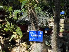 -国家植物园南园