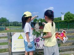 -菊园百果园