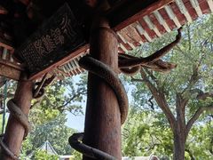 -晋祠公园