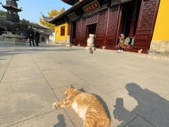 -西园戒幢律寺