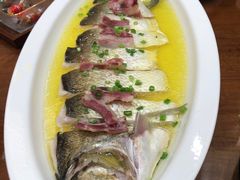 -鲁宴·鲁煨黄河生态大鲤鱼(月坛店)