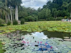 -中国科学院西双版纳热带植物园