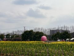 -嘉北郊野公园