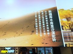 -西域胡氏大盘鸡(谈固店)