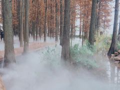 -东湖落雁景区