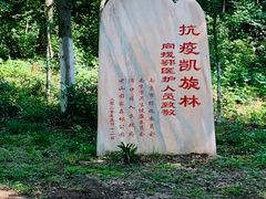 -南京老山国家森林公园