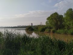 -灞河西岸滨河公园