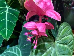 -三旗百汇商品城