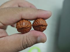 -蝎王府羊蝎子(西直门店)