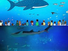 -烟台海昌鲸鲨海洋公园